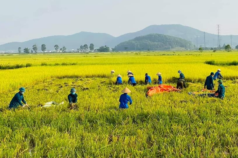 Bài 5: Hết mình giúp đỡ nhân dân 